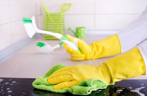 Eco-friendly cleaning solutions in action