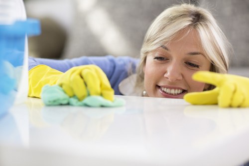 Experienced cleaners handling post-construction cleanup